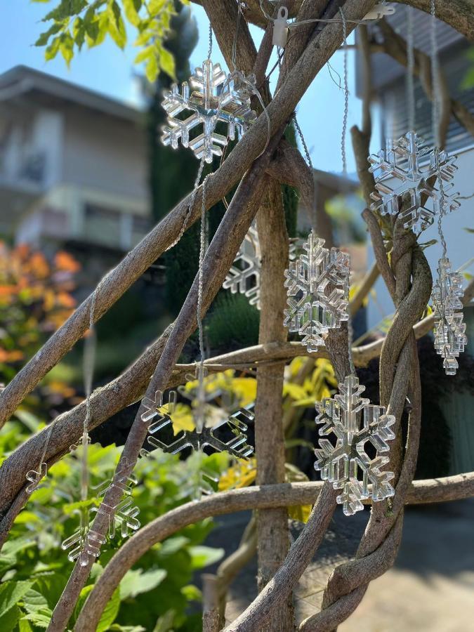 Snowflake 莱西根 外观 照片